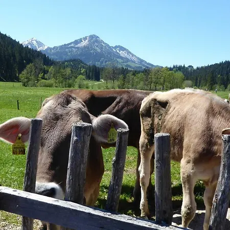 Fw Weissensee *