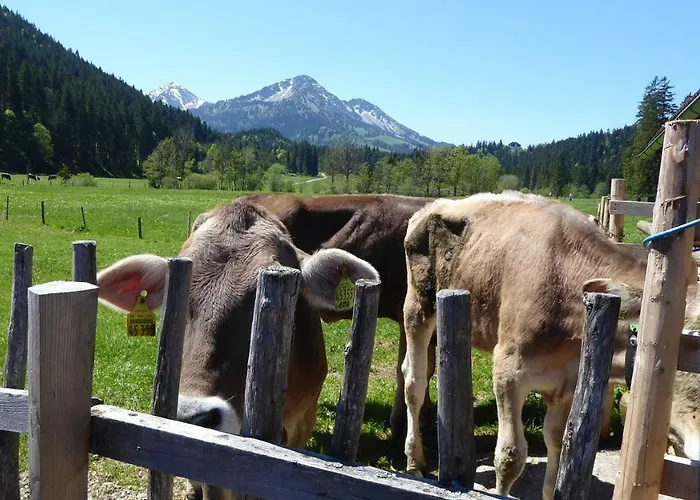 Fw Weissensee *